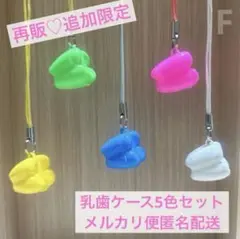 【再販・追加出品⭐︎限定333円！⭐︎】　乳歯ケース　5色セット　F