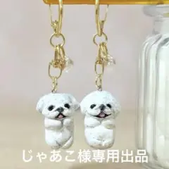 専用出品