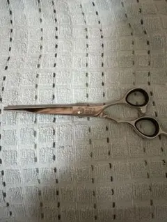 Item thumbnail for item 4091d8ff-5a5e-4849-a8d0-e4539d865cf4