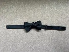 Item thumbnail for item e5bcff64-3f42-4a06-8501-d60adb4bea0b