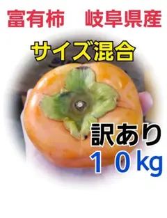 88 富有柿 10kg 甘柿