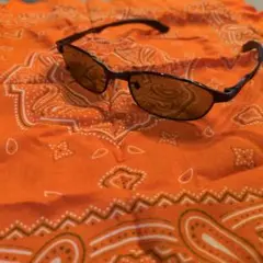 ZEAL OPTICS　アヴェンジエルフ サングラス