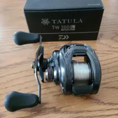 タトゥーラ TW 300 6.3 ノーマルギア 左ハンドル