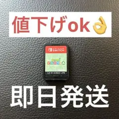 任天堂　あつまれどうぶつの森　ソフト