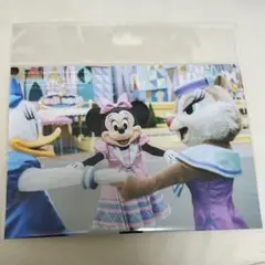イマジニングザマジック　ミニー　デイジー　クラリス　写真