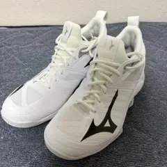 【新品・未使用品】MIZUNO バレーボールシューズ 25 cm