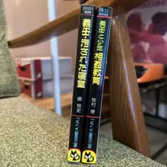 フランス書院文庫２冊セット「美母と少年相姦教育」「義母・汚された寝室」