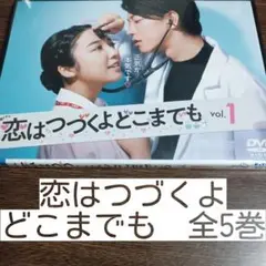 恋はつづくよどこまでも 全5巻　レンタル落ちDVD