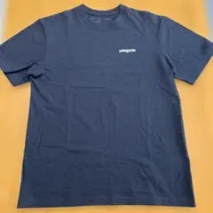 patagonia Mサイズ Tシャツ Responsibili-tee