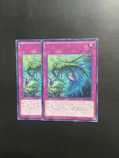 遊戯王 バージェストママーレラ 字レア 2枚 EP16