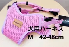Item thumbnail for item 38b362b2-60c8-4448-a71d-a9169c718350