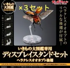 いきもの大図鑑　ヘラクレスオオカブト後翅　ディスプレイスタンド3個セット
