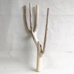 Item thumbnail for item df106478-feda-4c99-8155-ddf31e075133