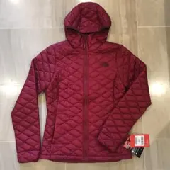 Item thumbnail for item 3038121e-ee1a-487c-ad36-c0a86732410a