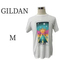 ★美品 GILDAN ギルダン 白 Tシャツ・カットソー M