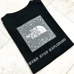 【美品】ノースフェイス バンダナ スクエア ロゴTシャツ