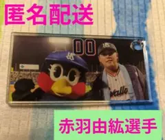 【匿名配送】つばみ 鳥づくし定食 特典 赤羽由紘選手 アクリルプレート