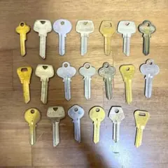 Item thumbnail for item 924dce5e-350c-46a7-b2fd-ee71230a65dc