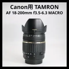 Item thumbnail for item 3648b9d3-b36a-4dda-9abd-97b45b1583dd