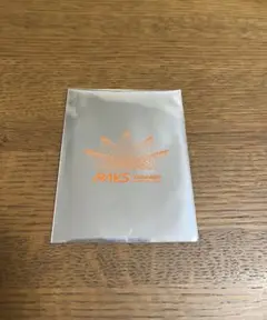 スノーマン　チケット風カード　RAYS 向井康二