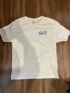 SKATEブランド Tシャツ　THEORIES