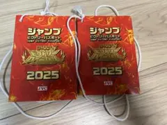 ジャンプビクトリーカーニバル 2025　パスポート　2冊　ジャンバル JVC
