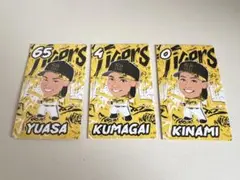 Item thumbnail for item ce330983-4c8a-4548-994e-df69bdf2b793