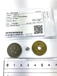 Item thumbnail for item acdd39c6-ba46-4e0b-9bb0-9b503a743e52