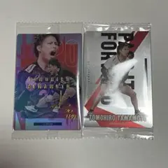 バレーボール　日本代表　ウエハースカード　山本