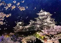 M51 夜桜と姫路城/兵庫/白鷺城/日本の風景/アートパネル