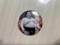 剣翔　缶バッジ