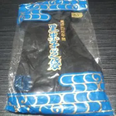 Item thumbnail for item 2d61fa4b-92cc-4810-9e75-a6d599b6a672