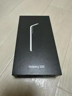 Samsung Galaxy S25 本体 シルバーシャドウ