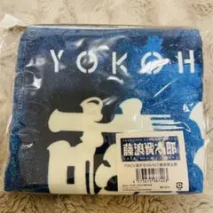 【新品未開封】横浜ベイスターズ　藤浪晋太郎　選手名　タオル