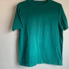 wonder nation 緑色 Tシャツ Lサイズ