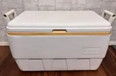 Item thumbnail for item 714f23b2-8d5a-44ec-bf86-b6885cf1531b