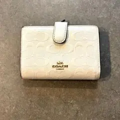 Item thumbnail for item 52ac2605-7b92-4b4d-a24f-f4141715cbe7