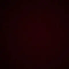 ニット 確認用