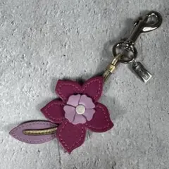 Item thumbnail for item d50498cd-f61c-469e-b912-30131a1619ca