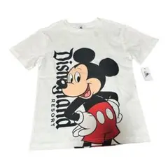 Item thumbnail for item c508e864-3f1d-4647-b245-dbf71266d37c