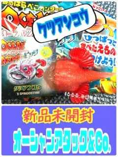新品未開封★クツアンコウ★オーシャンアタックアンドコー デアゴ