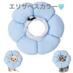 Item thumbnail for item 336a4c27-f820-4f63-9e0c-5fa22d6c663b