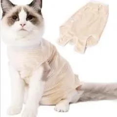 Item thumbnail for item f89518e7-d648-4286-8e09-eb99d95cfe93