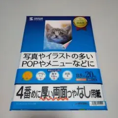 Item thumbnail for item 5a27e039-2c12-466b-be8a-bac67446038a