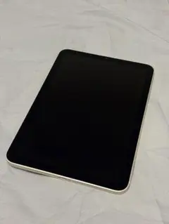 iPad mini 6 Wi-Fi+Cellularモデル256GBスターライト