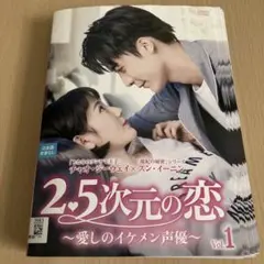 中国ドラマ　2.5次元の恋〜愛しのイケメン声優〜　レンタル落ち全12巻セット