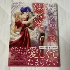 私を助けてくれた脈なしセフレ騎士様と契約結婚したら何故か甘くなって溺愛してきます