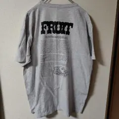 FRUIT OF THE LOOM XL Tシャツ グレー