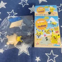 あつまれ！ピカチュウ　シーサイド ポケモンセンター限定 あつまれピカチュウ シーサイド ミニ