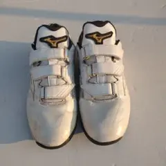 ミズノプロ　トレーニングシューズ【美品】